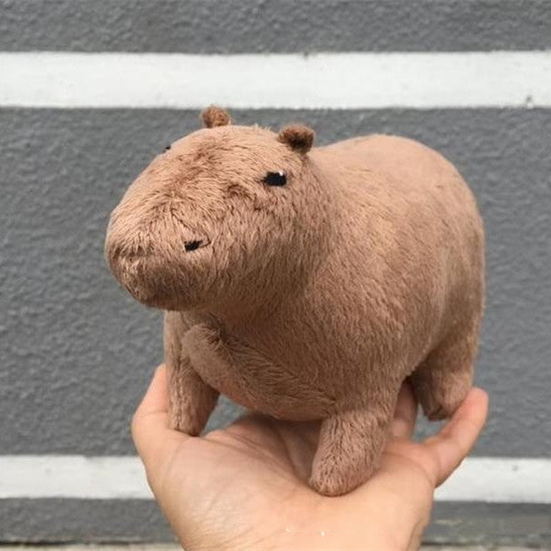 Capybara Plush Toy