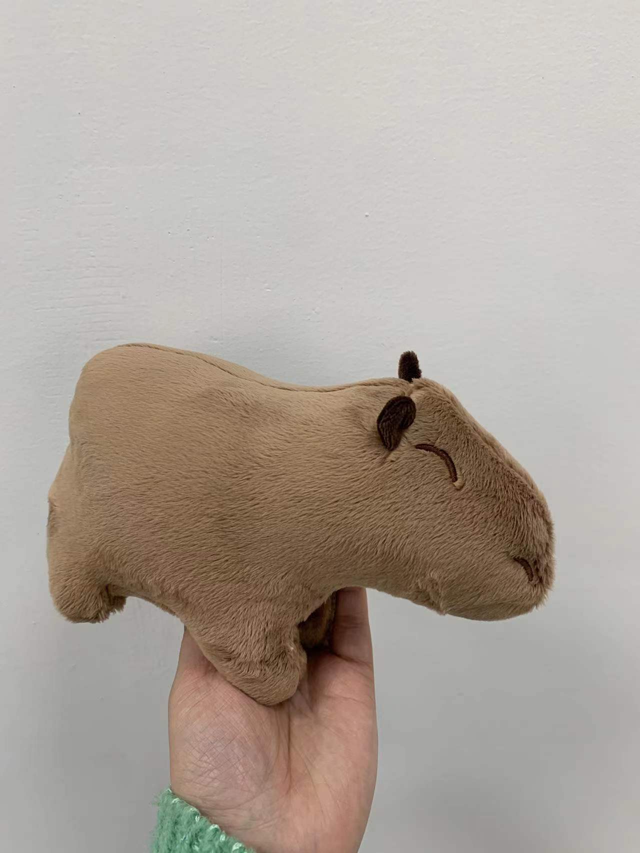 Capybara Plush Toy