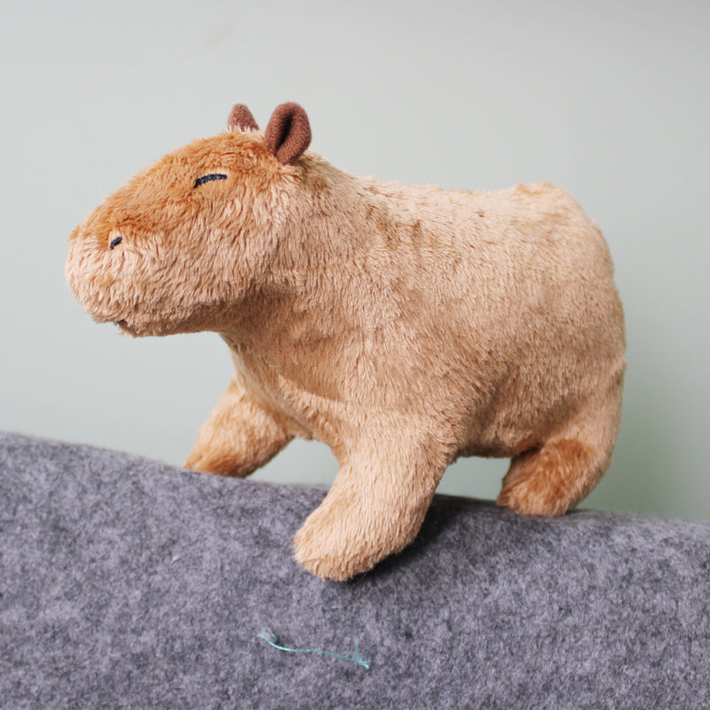 Capybara Plush Toy