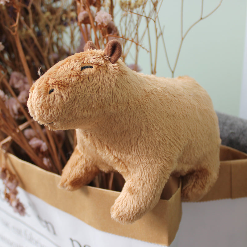 Capybara Plush Toy