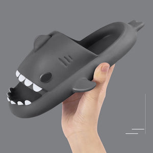 Shark Slippers  Men Women 2022 Summer Model