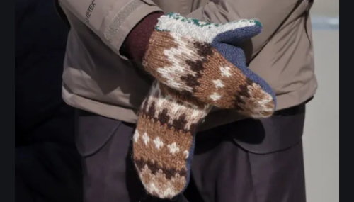 Lost Creek Bernie Mittens Winter Gloves