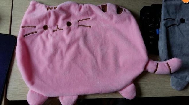 40x30cm Pusheen Cat Plush Stuffed Cushion