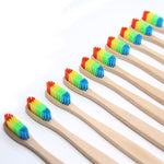 Rainbow Bamboo Toothbrush