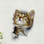 Funny Pet Decals
