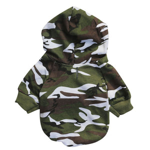French Bulldog Camouflage Outfit