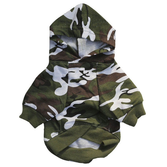 French Bulldog Camouflage Outfit