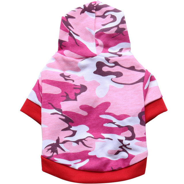 French Bulldog Camouflage Outfit