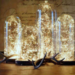 LED Christmas Lights String